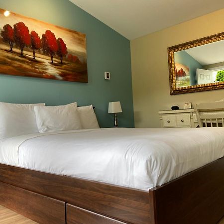 Motel Des Cedres Sherbrooke Exterior photo