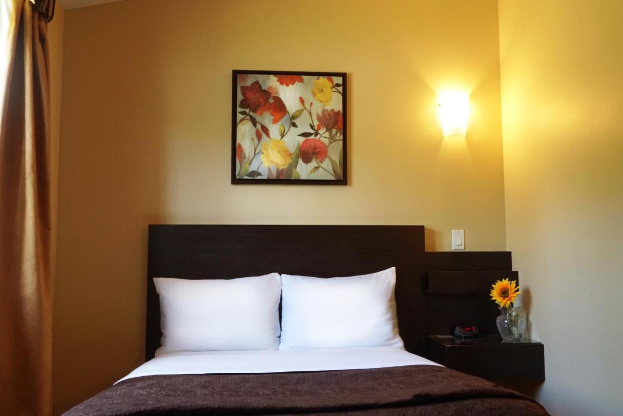 Motel Des Cedres Sherbrooke Exterior photo