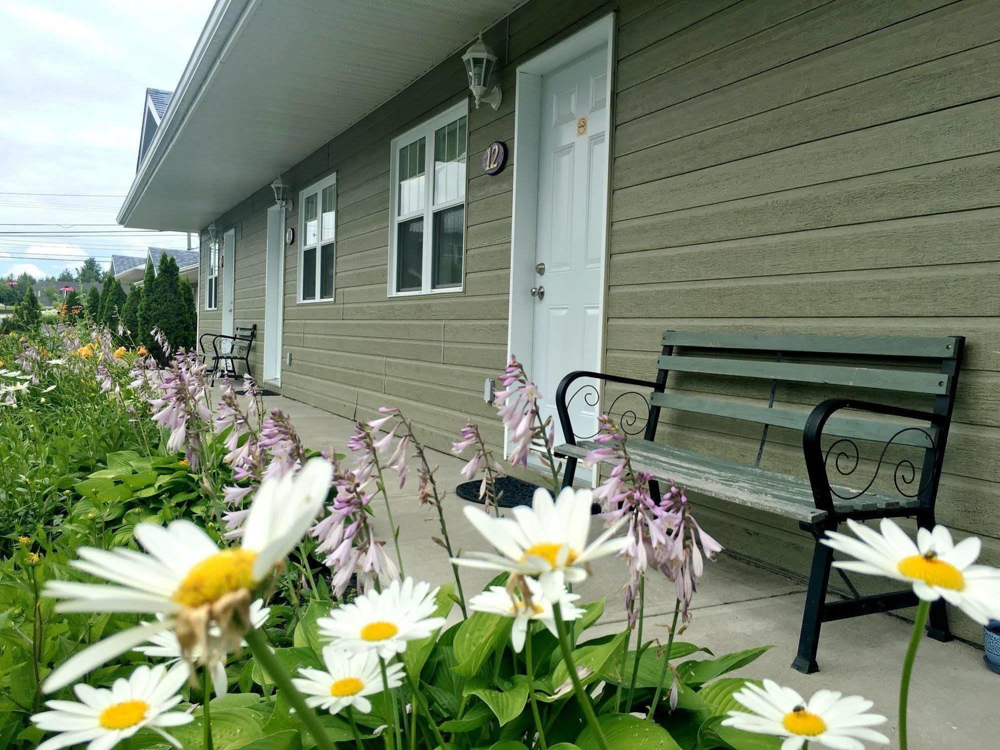 Motel Des Cedres Sherbrooke Exterior photo