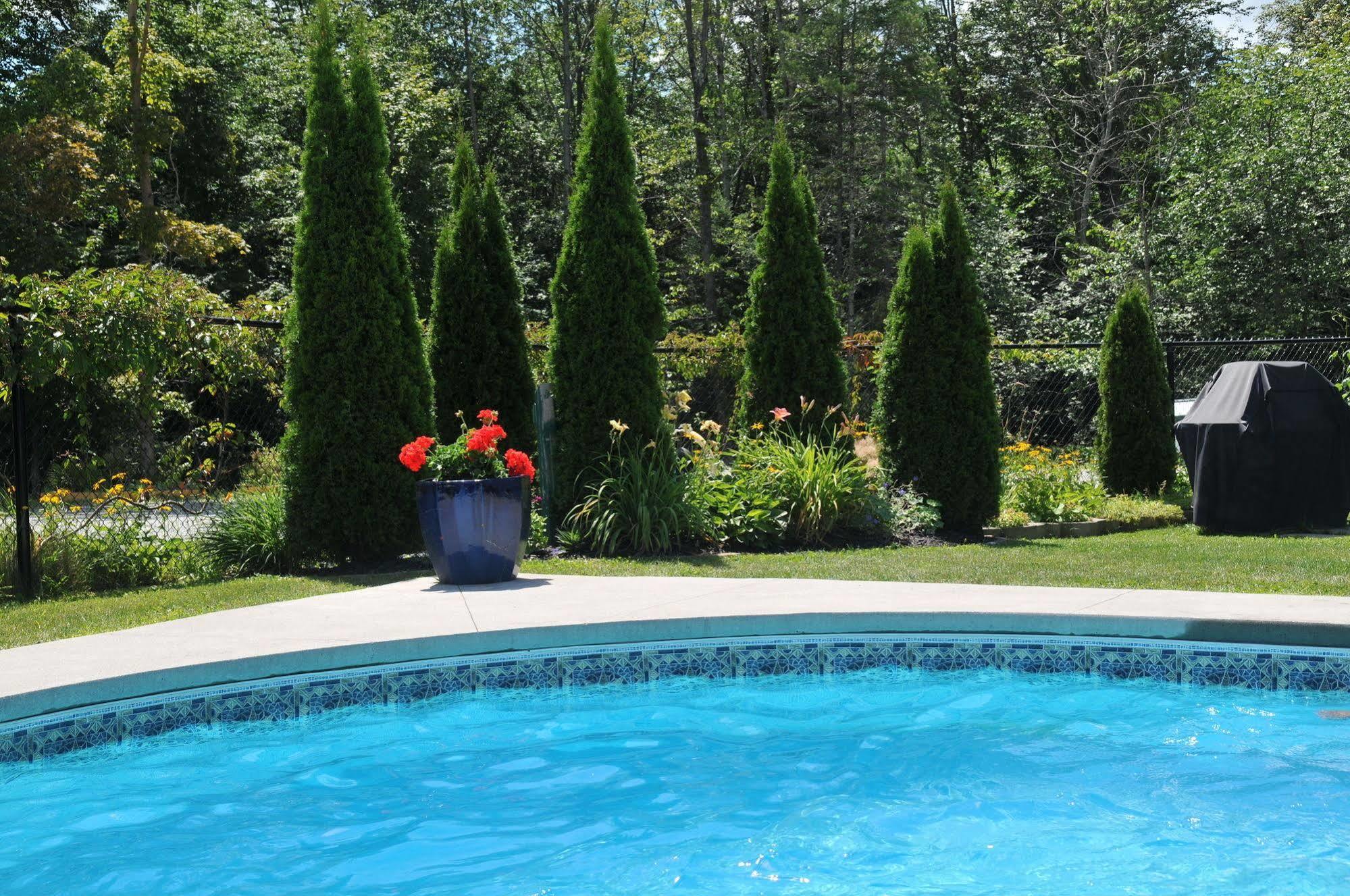 Motel Des Cedres Sherbrooke Exterior photo